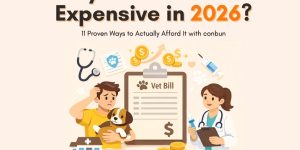 Dog Vet Bill Financing- A Complete Guide to Paying for Your Pet's Medical Care in 2026